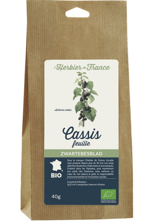 Cassis feuilles