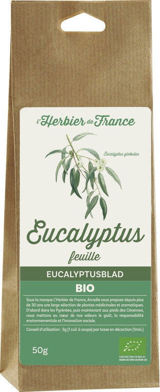 Eucalyptus feuilles