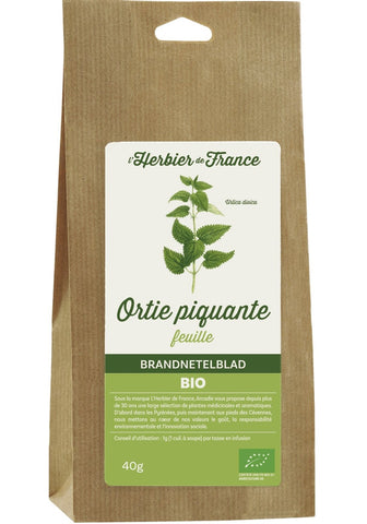 Ortie piquante feuilles