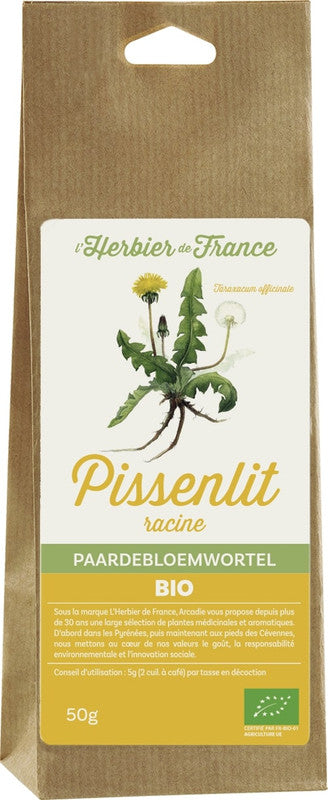 Pissenlit racine