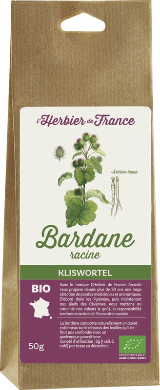 Bardane racines