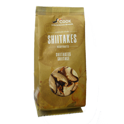 Shiitakes sachet coussin