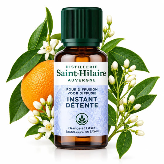Saint-Hilaire Instant Relaxation