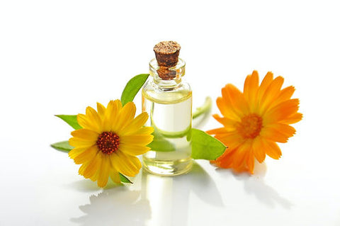Mazerat aus Ringelblume