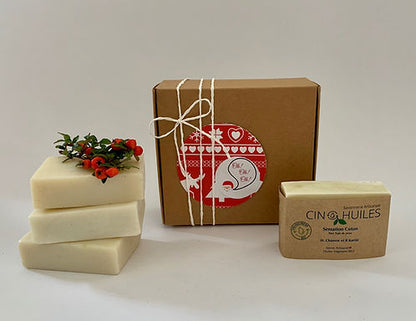 Geschenk 4 Seifen (trockene Haut)