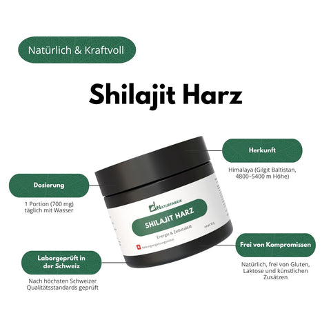 NATURFABRIK Resina di Shilajit 30 g