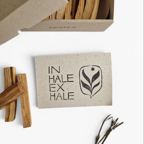 Bois de Palo Santo encens 10 pièces