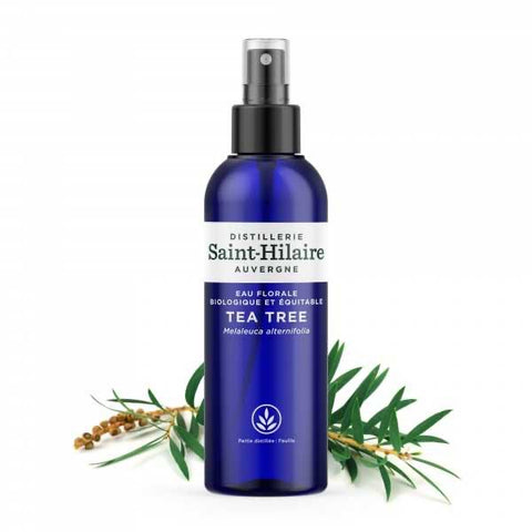 Saint-Hilaire Tea Tree