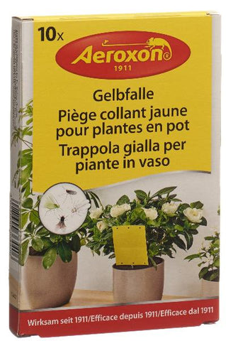AEROXON Gelbfalle für Topfpflanzen 10 Stk