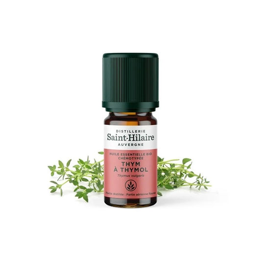 Thym Saint-Hilaire thymol