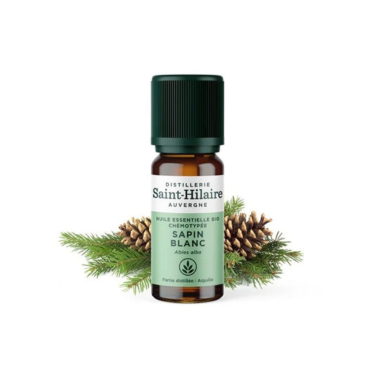 Sapin de Noël blanc