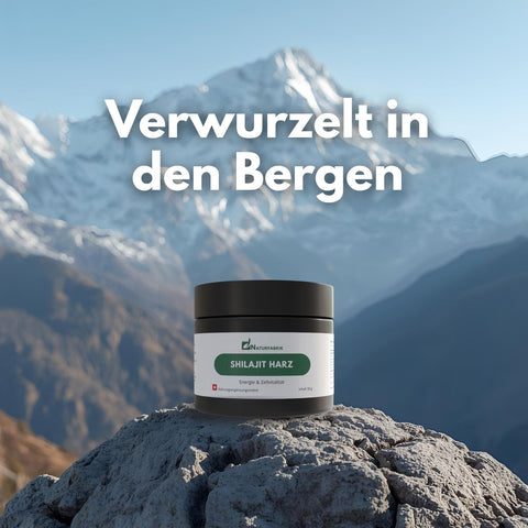 NATURFABRIK Resina di Shilajit 30 g