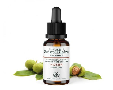 Saint-Hilaire Organic Walnut Bud Macerate