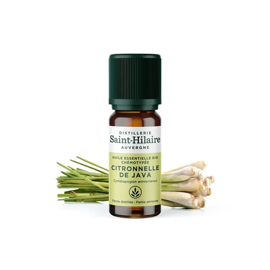 Saint Hilaire Java Citronnelle