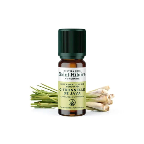 Saint Hilaire Java Citronella