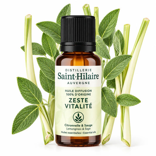 Saint-Hilaire - Vitality Zest