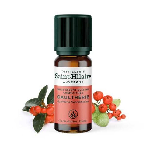 Saint-Hilaire Wintergreen