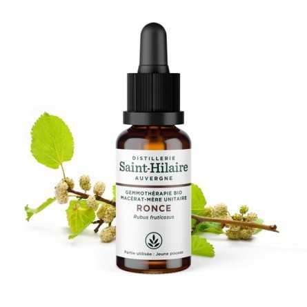 Saint-Hilaire Bramble