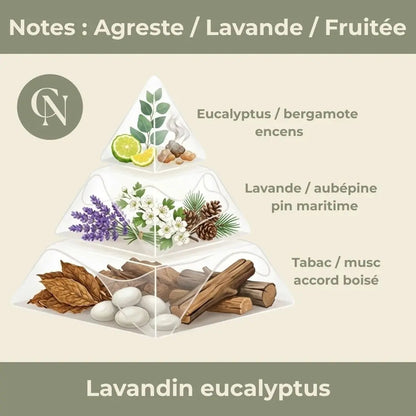 Candela Artigianale Profumata Lavanda ed Eucalipto – Freschezza e Serenità Naturali