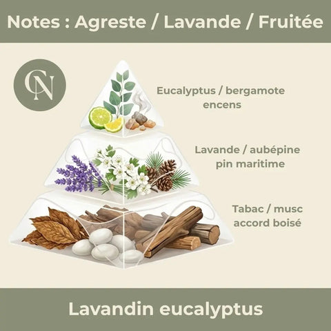 Candela Artigianale Profumata Lavanda ed Eucalipto – Freschezza e Serenità Naturali