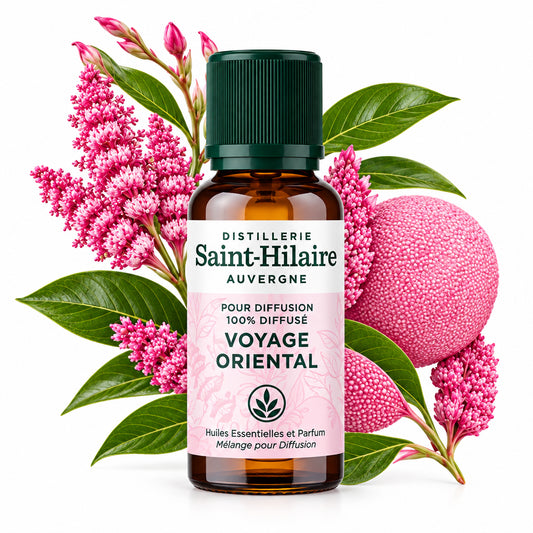 Voyage Oriental Saint-Hilaire