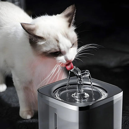 Trinkbrunnen für Katzen und Hunde, 2-Liter