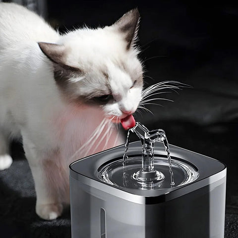 Trinkbrunnen für Katzen und Hunde, 2-Liter