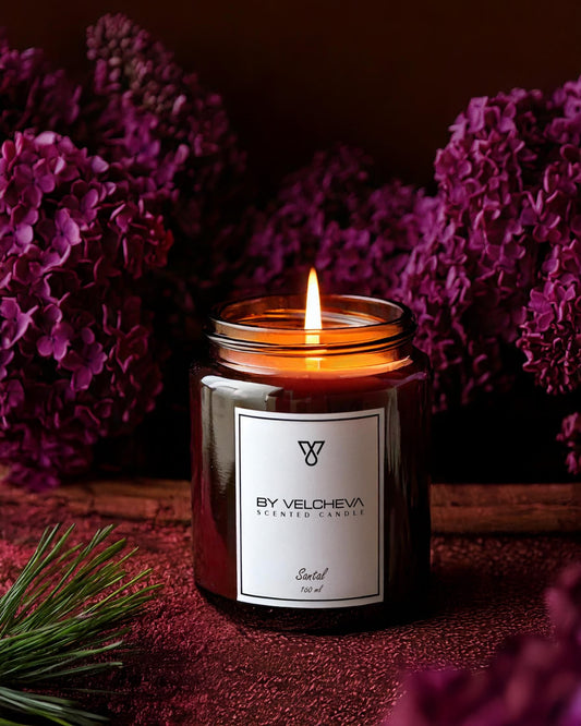 BY VELCHEVA Duftkerze Santal – 160 ml, Sandelholz, Kardamom & Ambra
