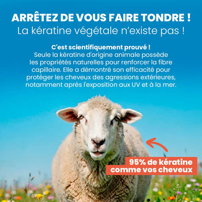Sérum capillaire à la kératine de laine certifié bio - répare & protège