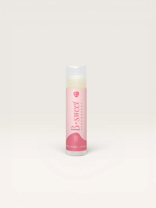 Lip balms with organic cocoa butter