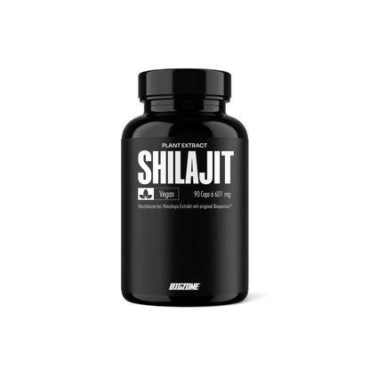BIG ZONE Shilajit 90 Kapseln