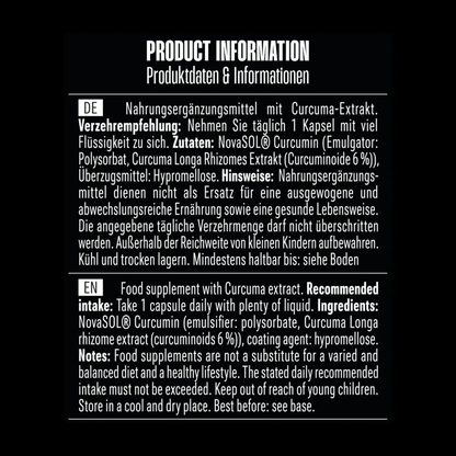 BIG ZONE NovaSol® Curcumin 90 Kapseln