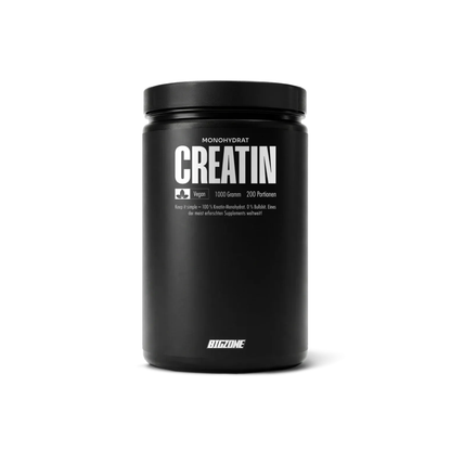 BIG ZONE Creatin Monohydrat