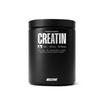 BIG ZONE Creatin Monohydrat