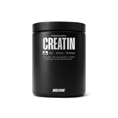 BIG ZONE Creatin Monohydrat