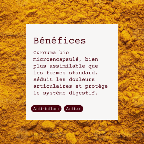 Curcuma Oro Biologico