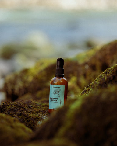 Crème visage aux fleurs de camomille