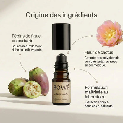 L'Huile Absolue de figue de barbarie bio pressée à froid - Contour des yeux