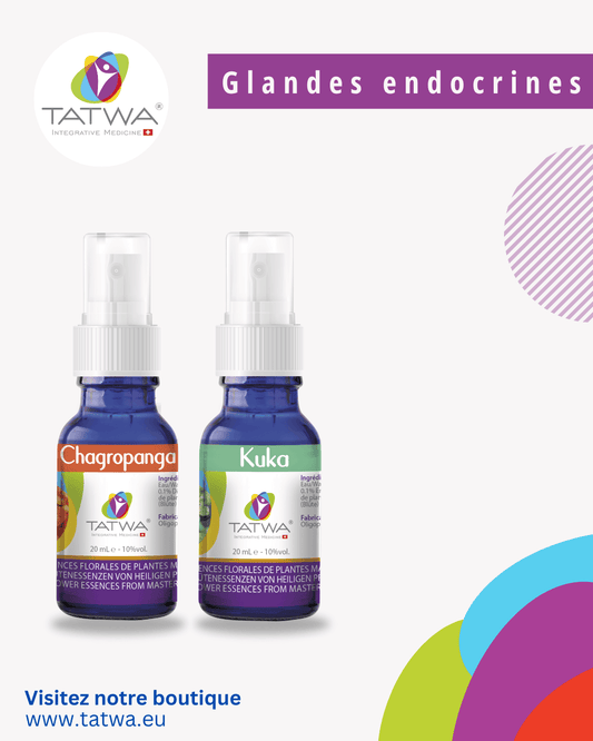 Kit Floral Glandes Endocrines - Rééquilibrer l’énergie vitale du corps, comprenant les essences Chalgraponga et Kuka.