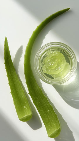Aloe Vera Shampoo für die häufige Haarwäsche