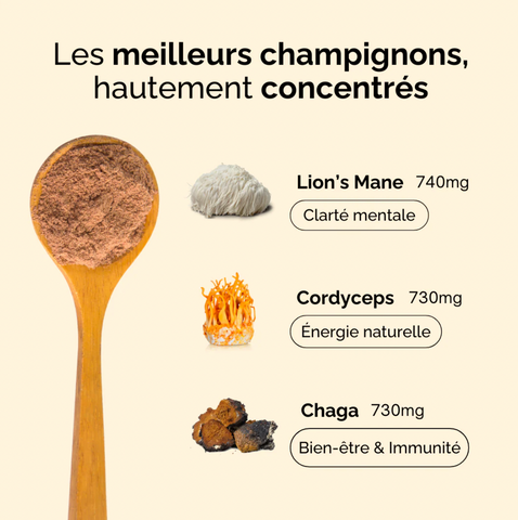 Bonjour Chocolat gastronomique – Chocolat chaud aux champignons fonctionnels