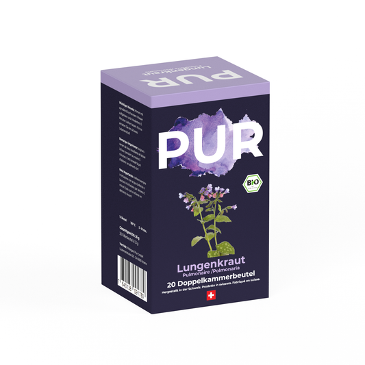 PUR Thé de Pulmonaire BIO 20 Sachets