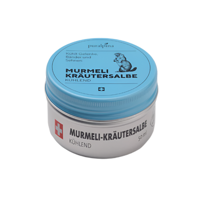 Murmeli Herbal Ointment Cooling