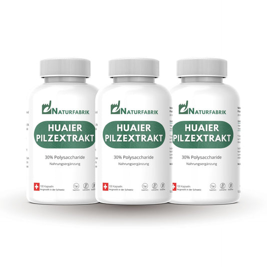 NATURFABRIK Huaier Pilzextrakt Kapseln 300 Stk (3er)