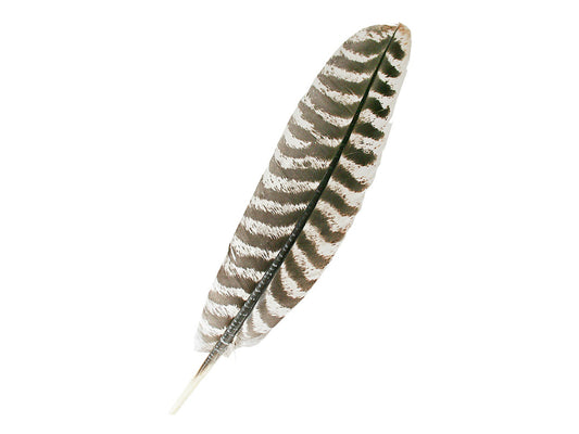 Aromalife piuma di tacchino (1 pezzo)