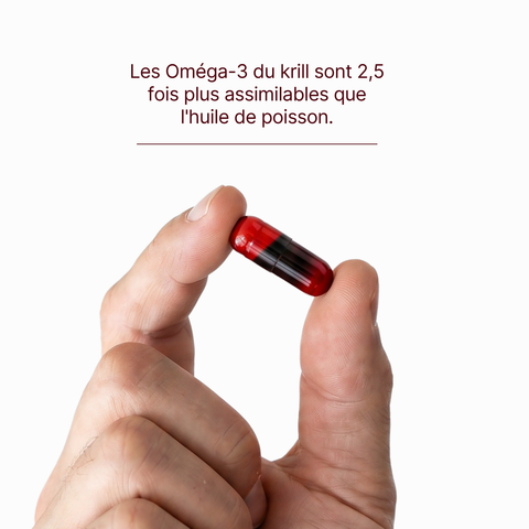 Olio di krill puro