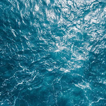 Olio di krill puro