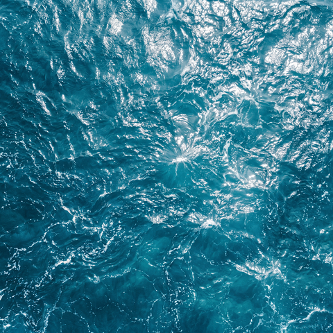 Olio di krill puro