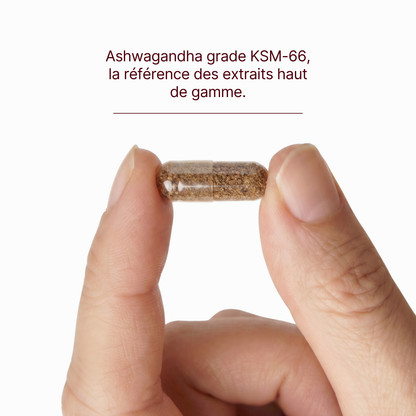 zafferano e ashwaganda B6, B3