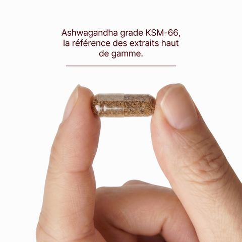 zafferano e ashwaganda B6, B3